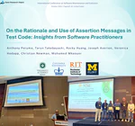 On the Rationale and Use of Assertion Messages in Test Code: Insights from Software Practitioners